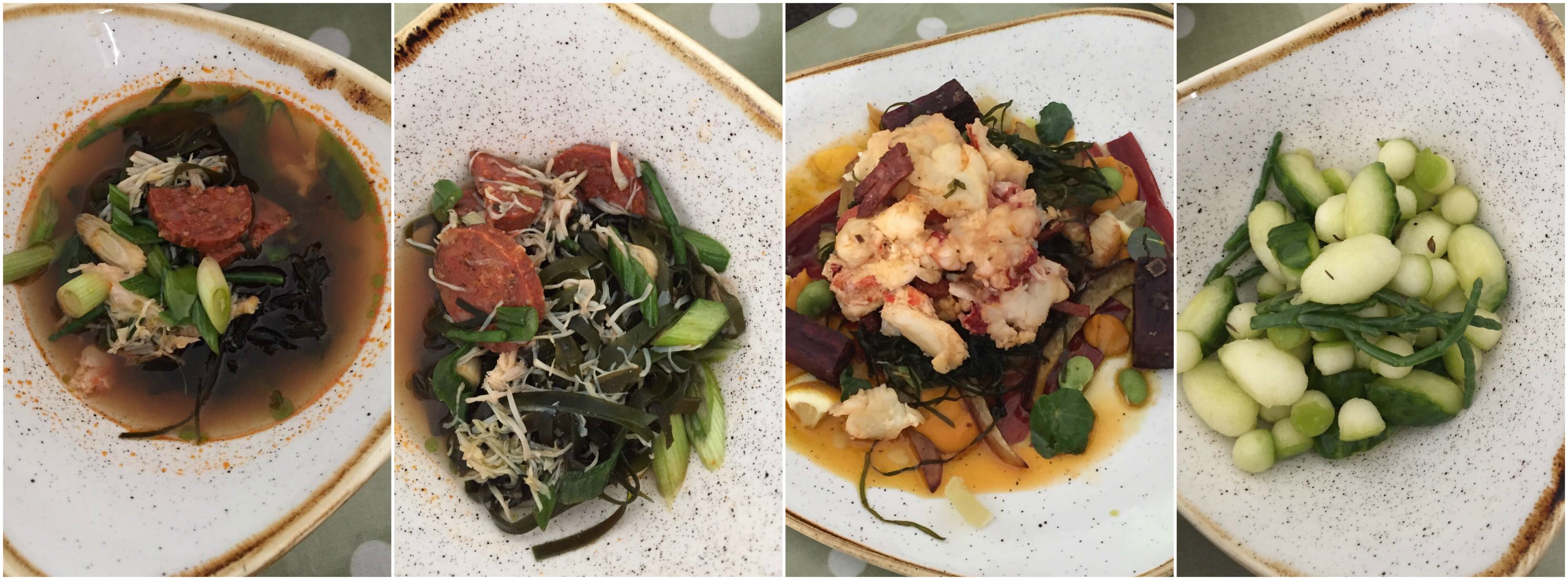 eaweed kelp food ingredients tcfg